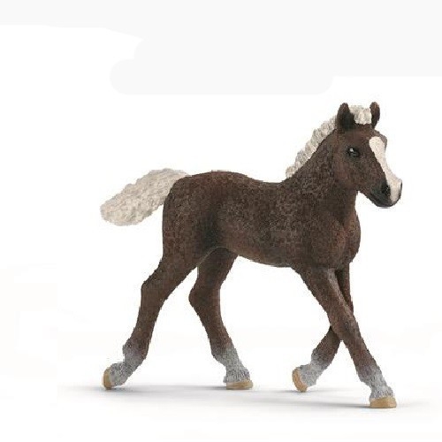 Schleich - Black Forest Foal