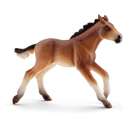 Schleich - Mustang Foal
