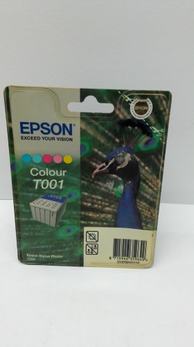 Epson C13T00101110 Tintenpatrone