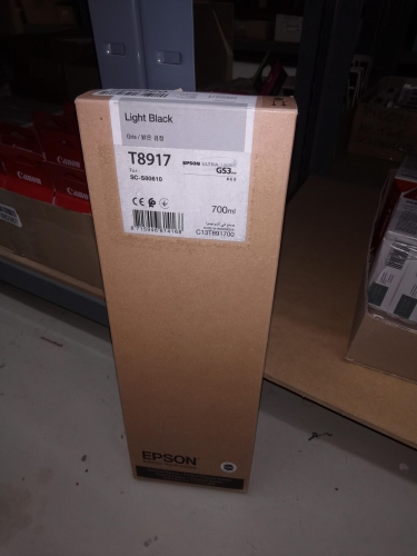 Epson C13T891700 Tintenpatrone